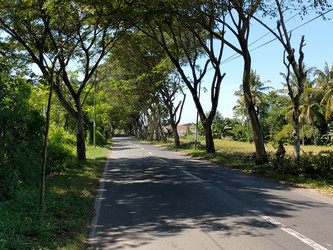 Similar image 22499376