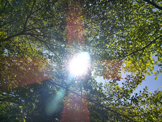 Similar image 22499422