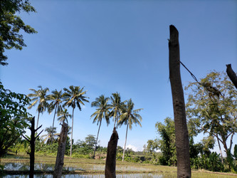 Similar image 22499436