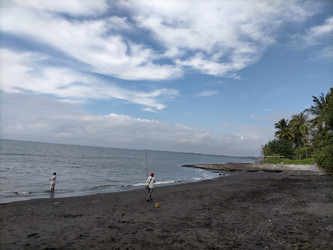 Similar image 22501290