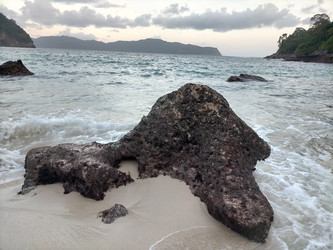 Similar image 22501307