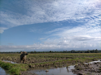 Similar image 22501320