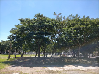 Similar image 22501352