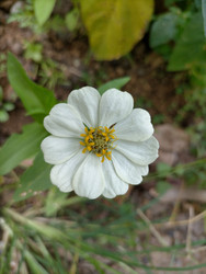 Similar image 22501353