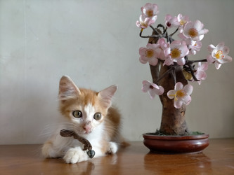 Similar image 22503969