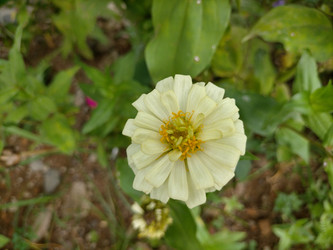 Similar image 22532558