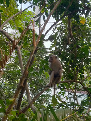 Similar image 22532598