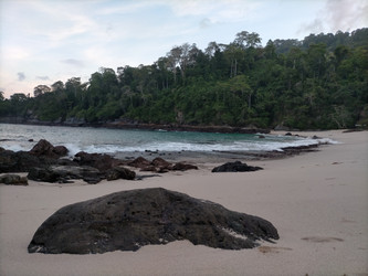 Similar image 22532641