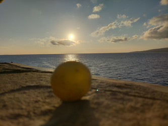 Similar image 22532660