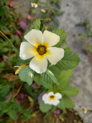 Similar image 22532662