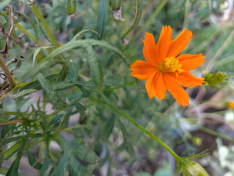 Similar image 22532684