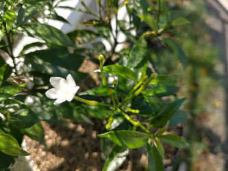 Similar image 22532703