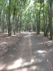 Similar image 22532728