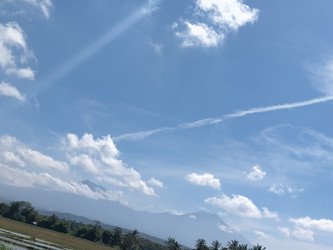 Similar image 22532730