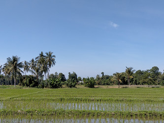 Similar image 22532749