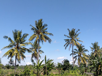 Similar image 22532773