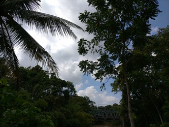 Similar image 22532793