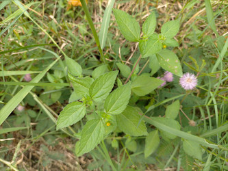 Similar image 22532814