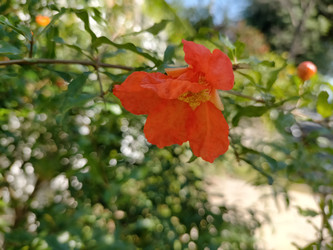 Similar image 22532816