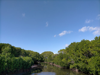 Similar image 22532842