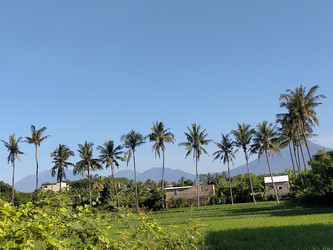 Similar image 22532863