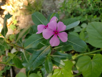 Similar image 22532886