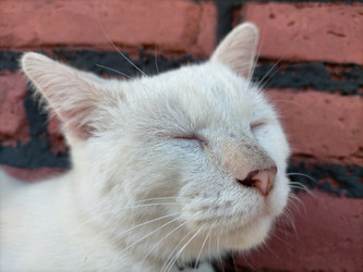 Similar image 22532930