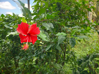 Similar image 22532931