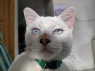 Similar image 22532954