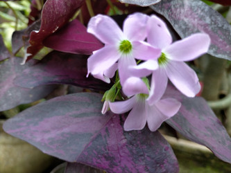 Similar image 22532976