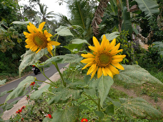 Similar image 22533019