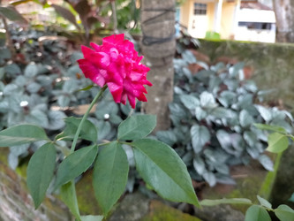 Similar image 22533044