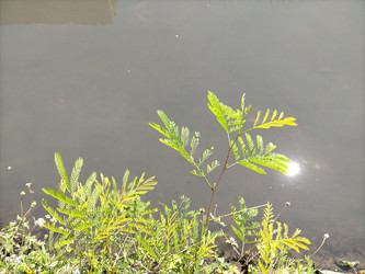 Similar image 22533087