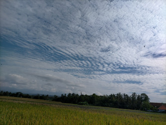 Similar image 22533111