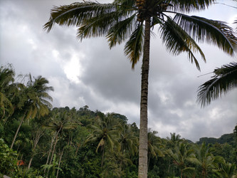 Similar image 22533132