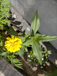 Similar image 22533156