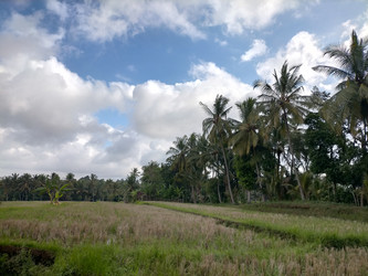 Similar image 22533158