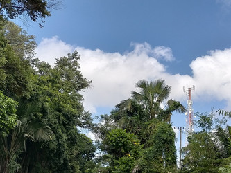 Similar image 22533178