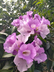 Similar image 22533201