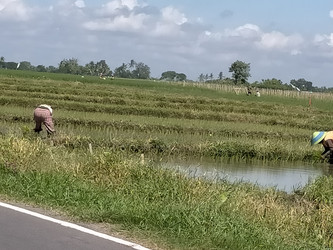 Similar image 22533202