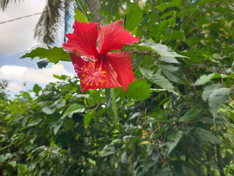 Similar image 22533254