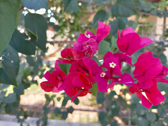 Similar image 22535687