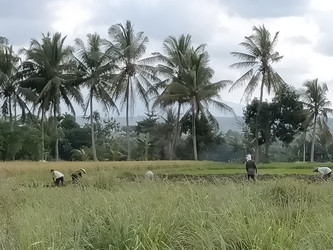 Similar image 22535703