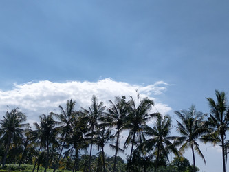 Similar image 22535716