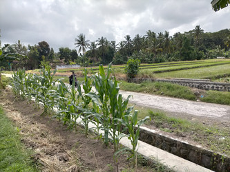 Similar image 22535717