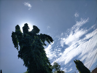 Similar image 22535734