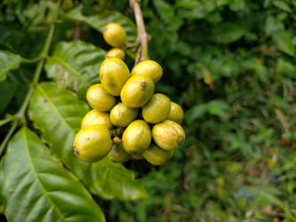 Similar image 22535762