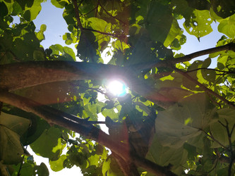 Similar image 22535808