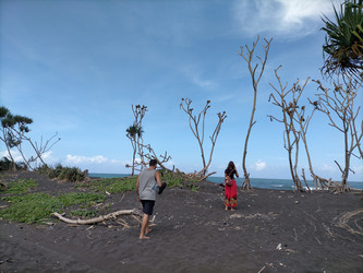 Similar image 22535809