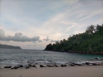 Similar image 22535823